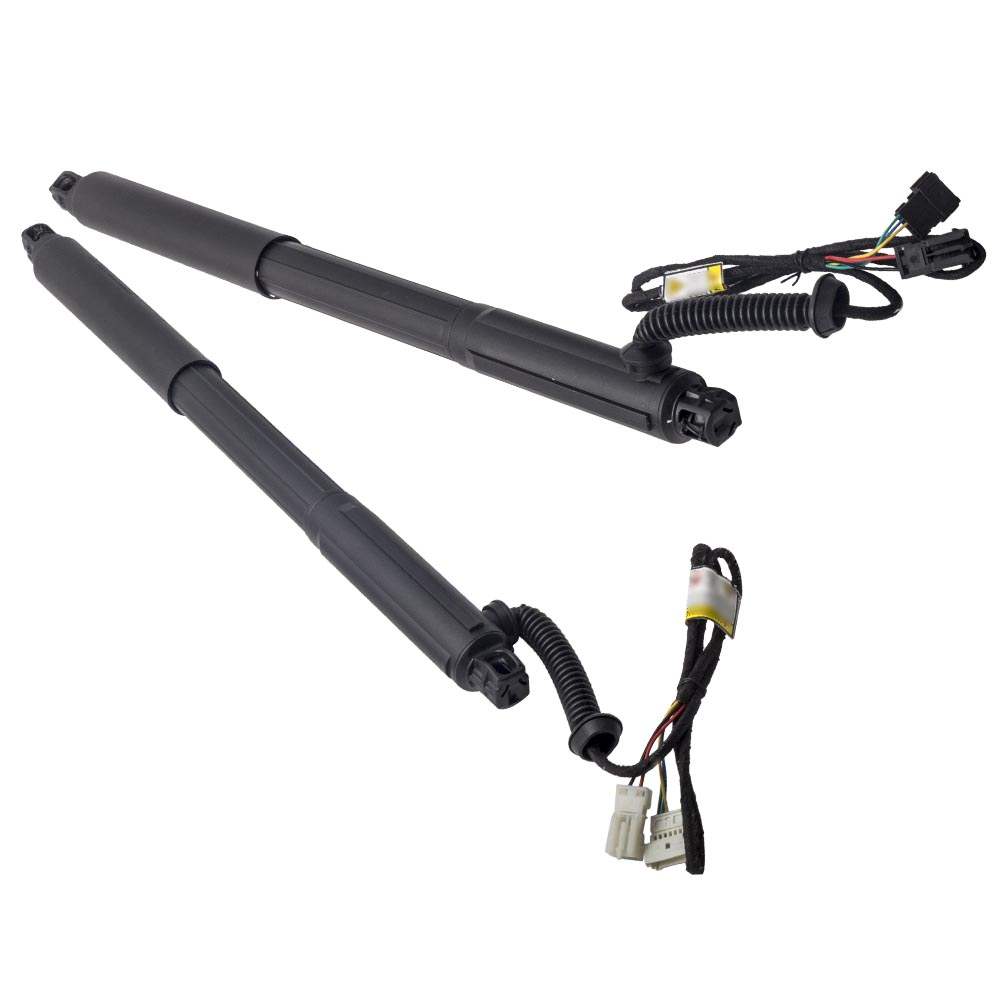 2 x Rear Left+Right Tailgate Lift Support compatible for BMW X5 E70 07-13 51247332695